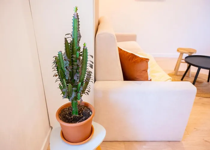 Lejlighed Cocooning Proche *