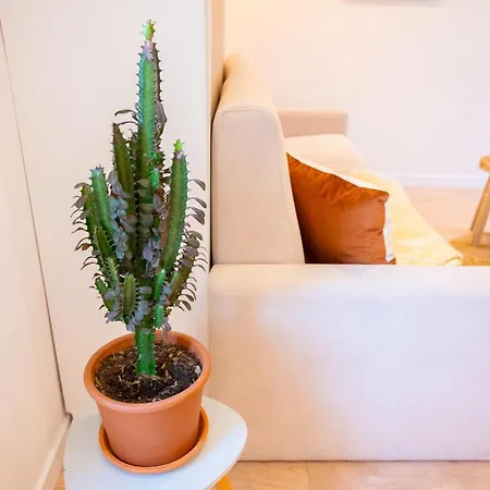 Apartment Cocooning Proche *