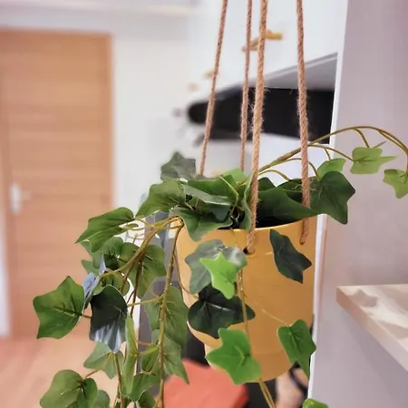 Apartment Cocooning Proche