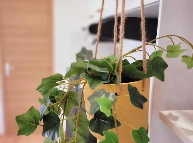 Apartment Cocooning Proche